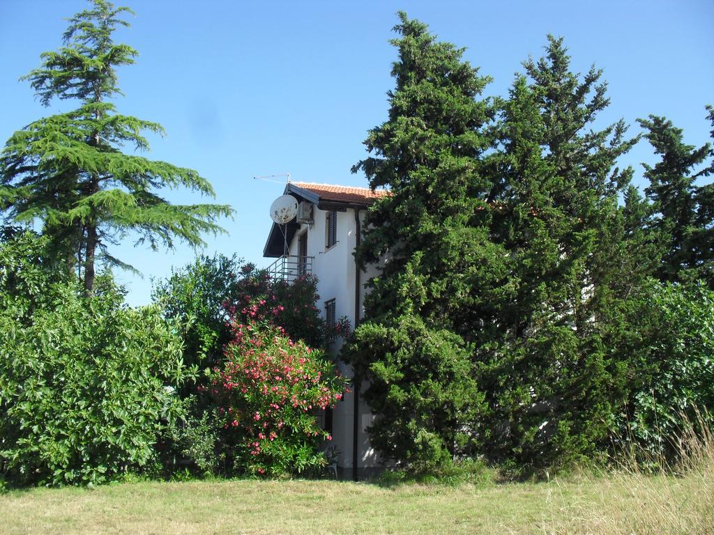 Apartment Lana Privlaka  Esterno foto